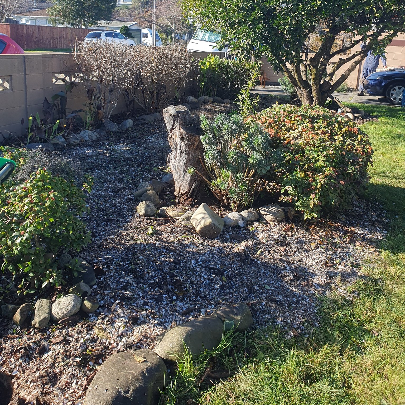 512971374 122166507176568150 6136562959519905455 n