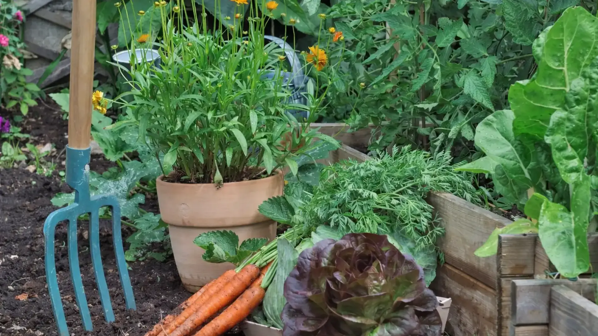 We Bring Your Garden