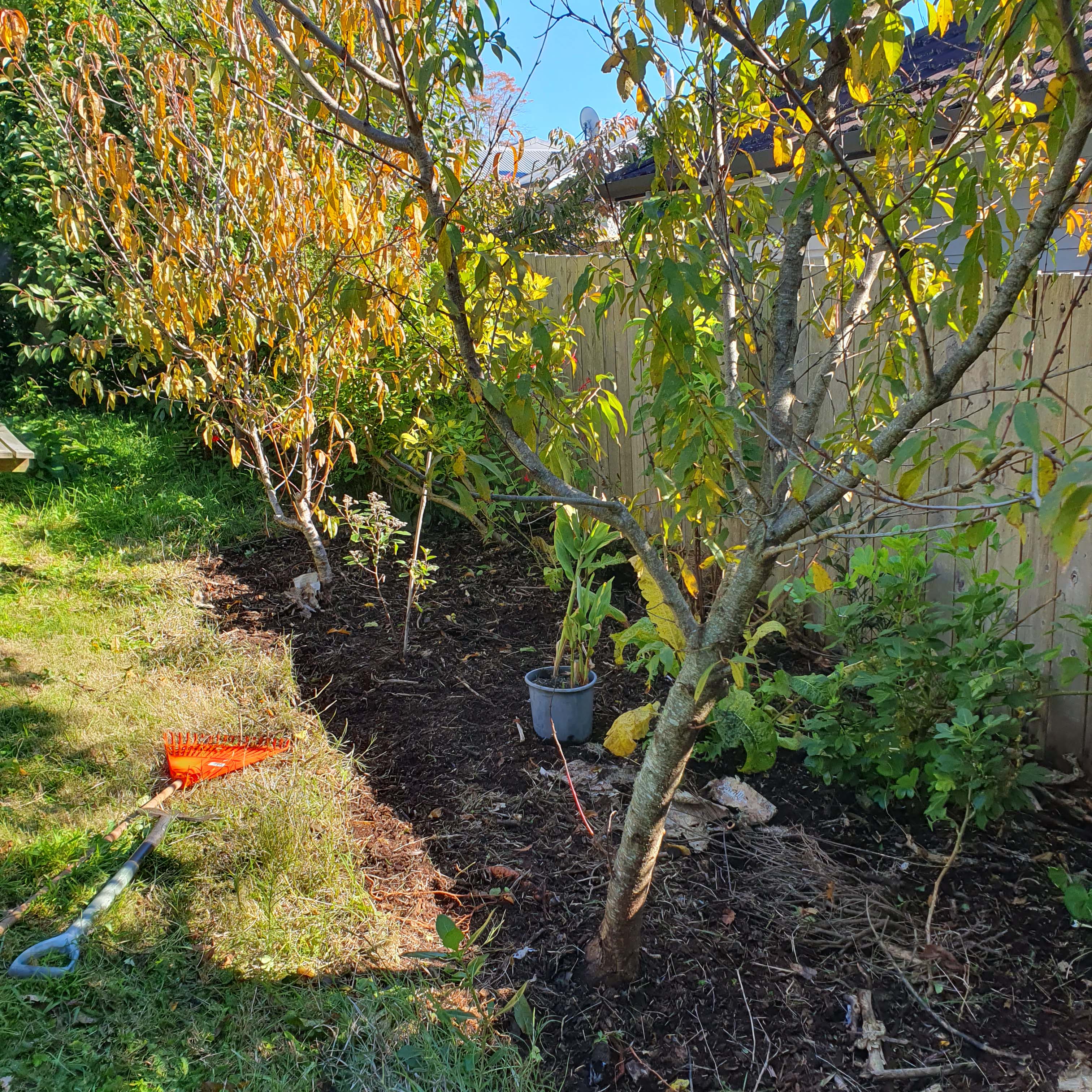 able gardeners about us planting 2