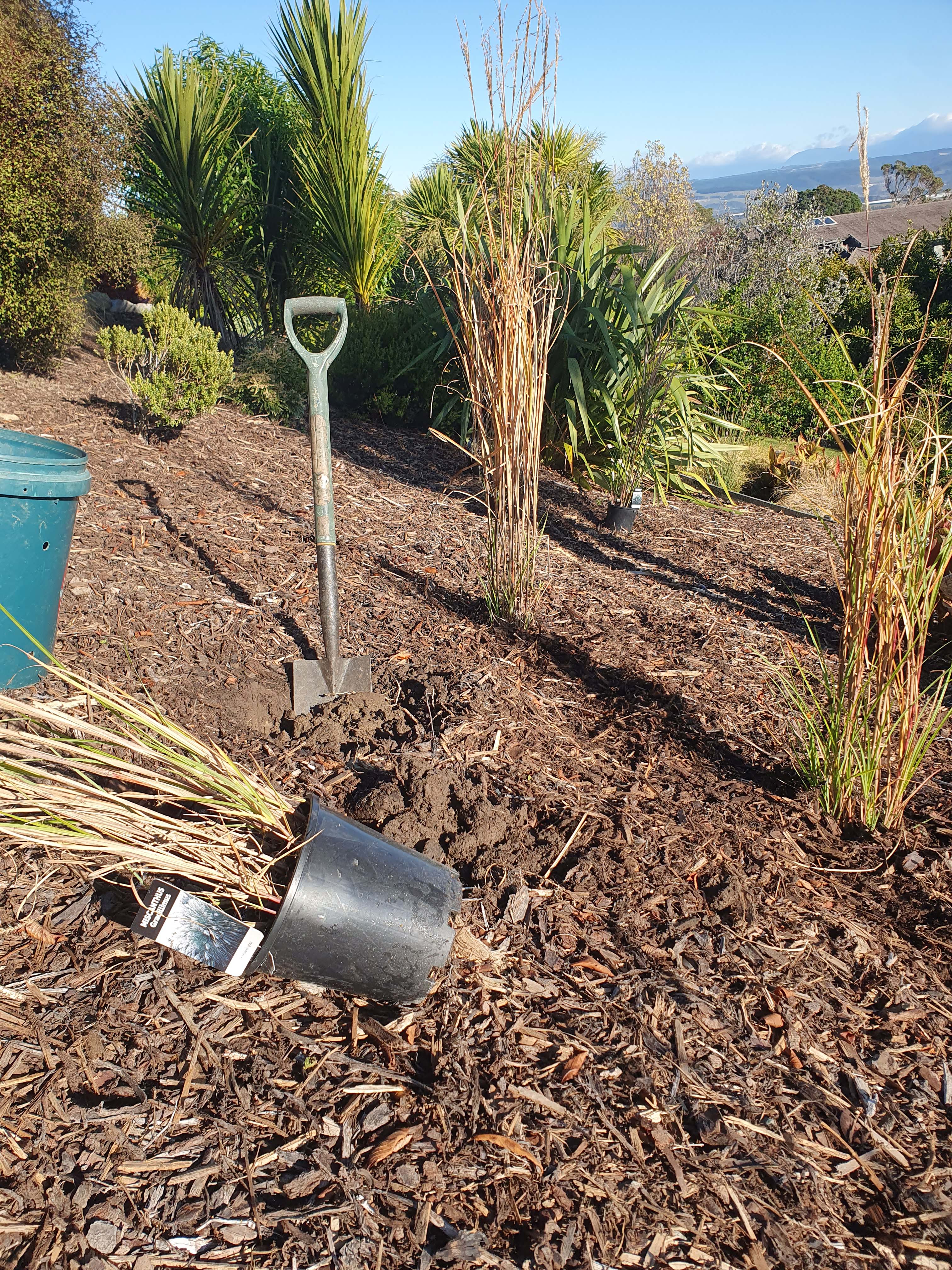 able gardeners about us planting