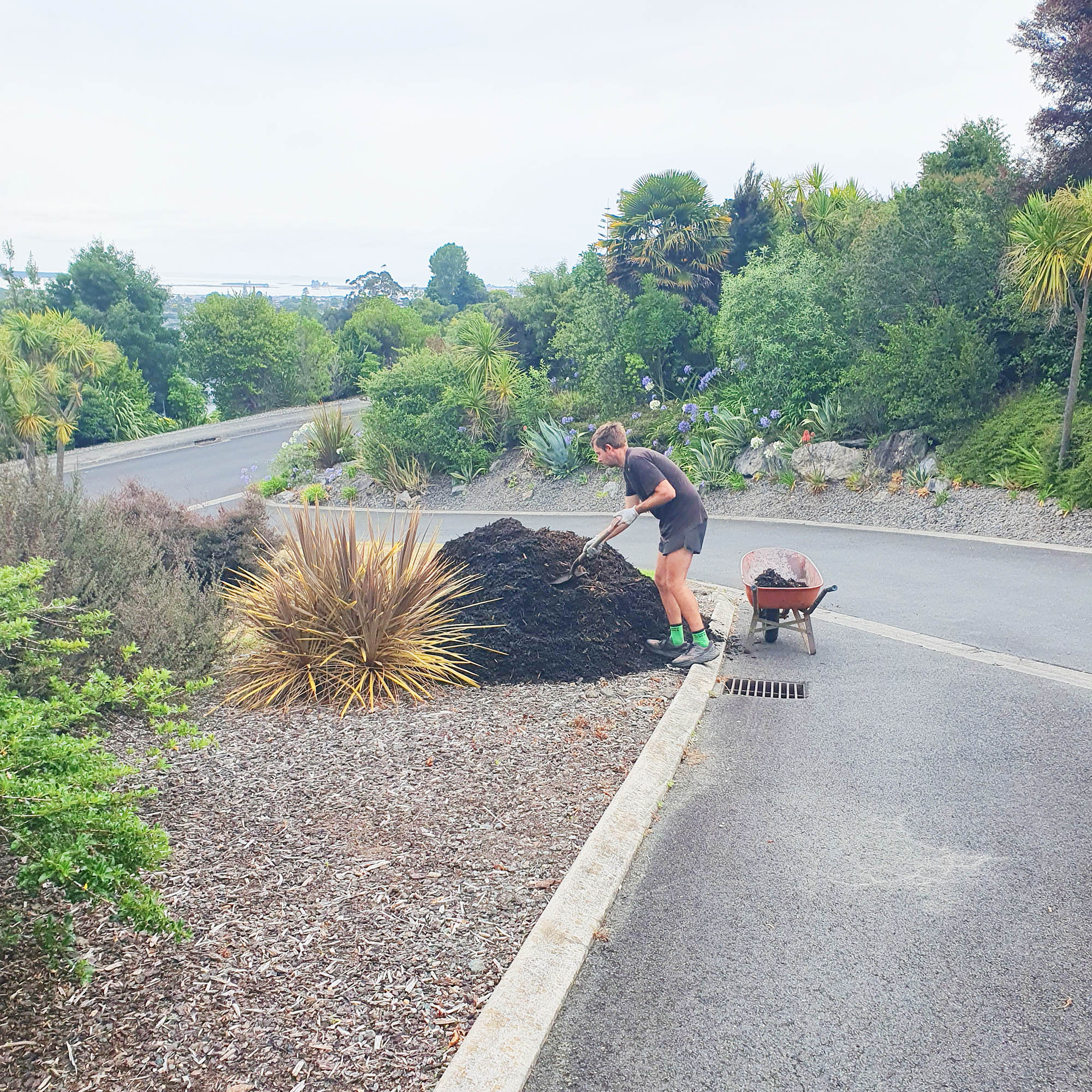 able gardeners nelson tasman who we are